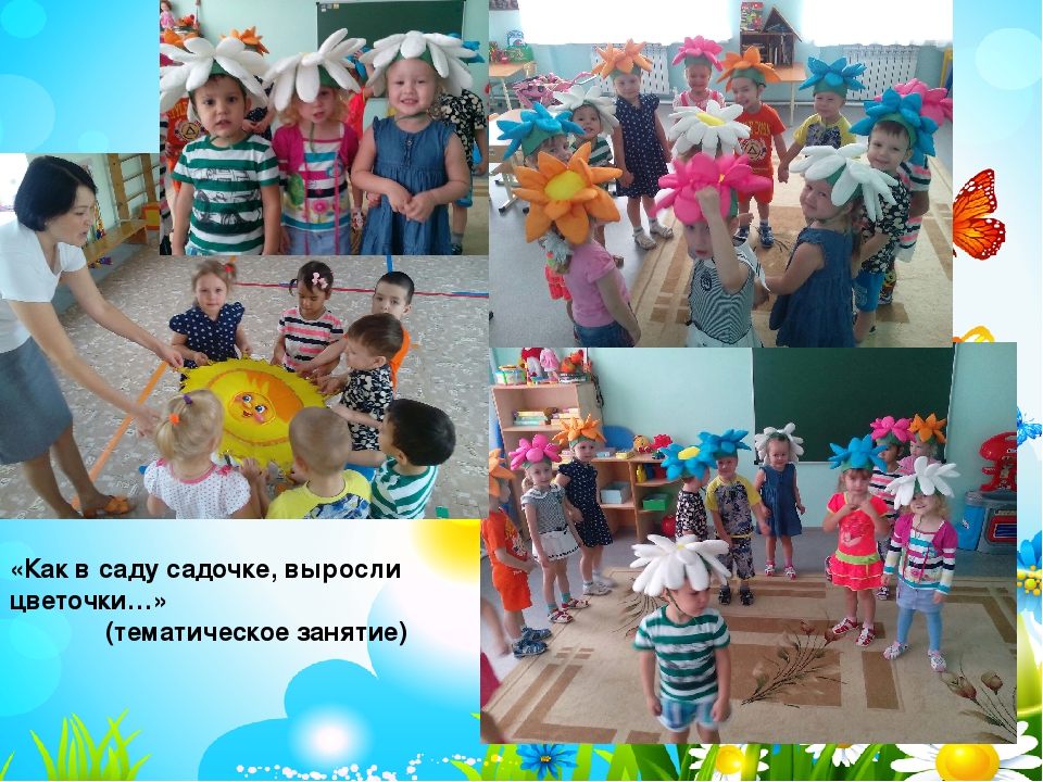 Презентация проекта "Чудеса лета"