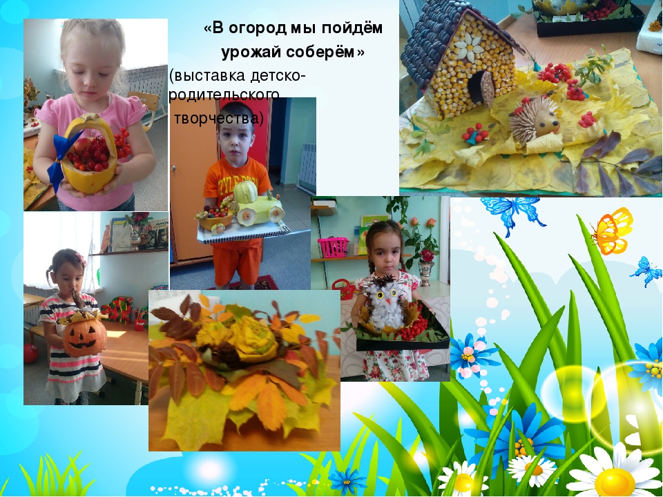 Презентация проекта "Чудеса лета"