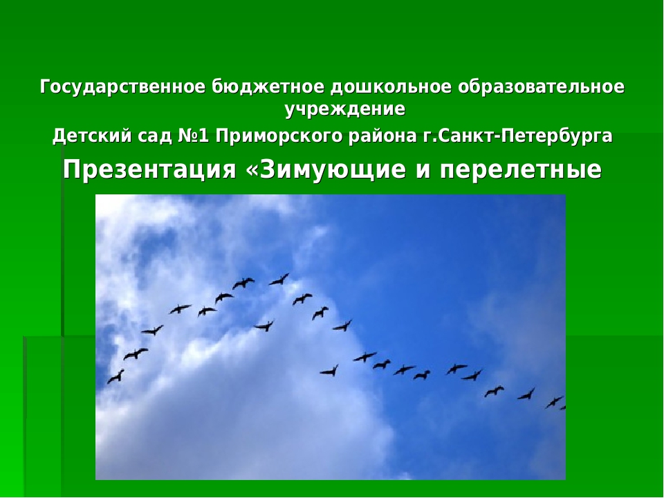 Презентация "Перелетные и зимующие птицы"