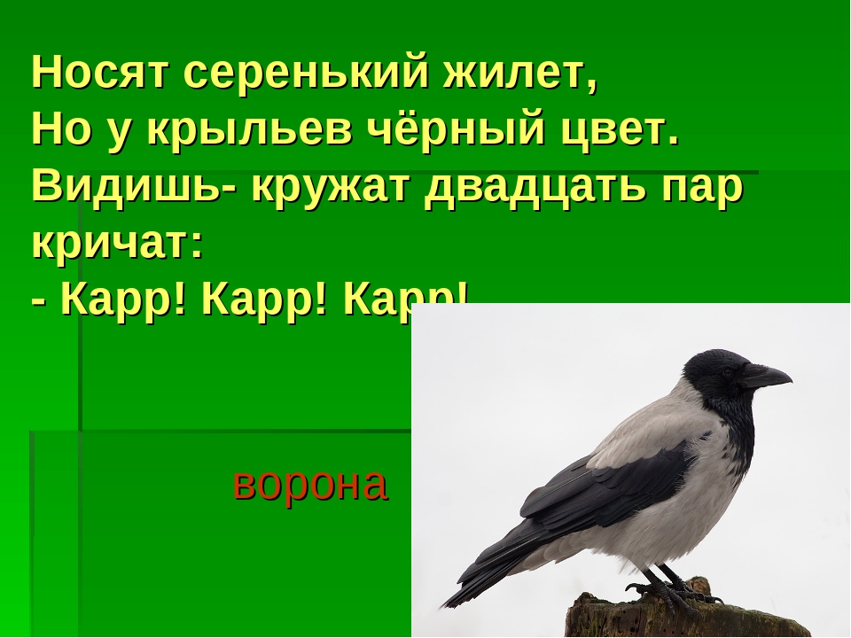 Презентация "Перелетные и зимующие птицы"