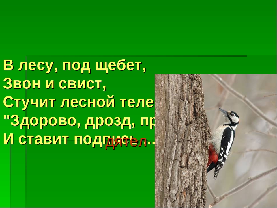 Презентация "Перелетные и зимующие птицы"