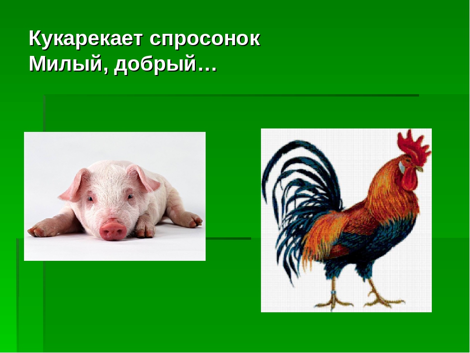 Загадки - обманки. Развлечение для детей дошкольного возраста.