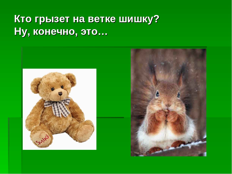 Загадки - обманки. Развлечение для детей дошкольного возраста.