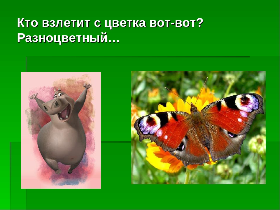 Загадки - обманки. Развлечение для детей дошкольного возраста.