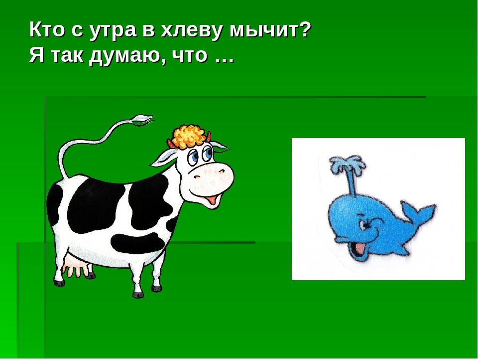 Корова мычала твоя молчала. Кто с утра в хлеву мычит. Загадки обманки. Загадки-обманки для детей. Загадки обманки с ответами смешные.