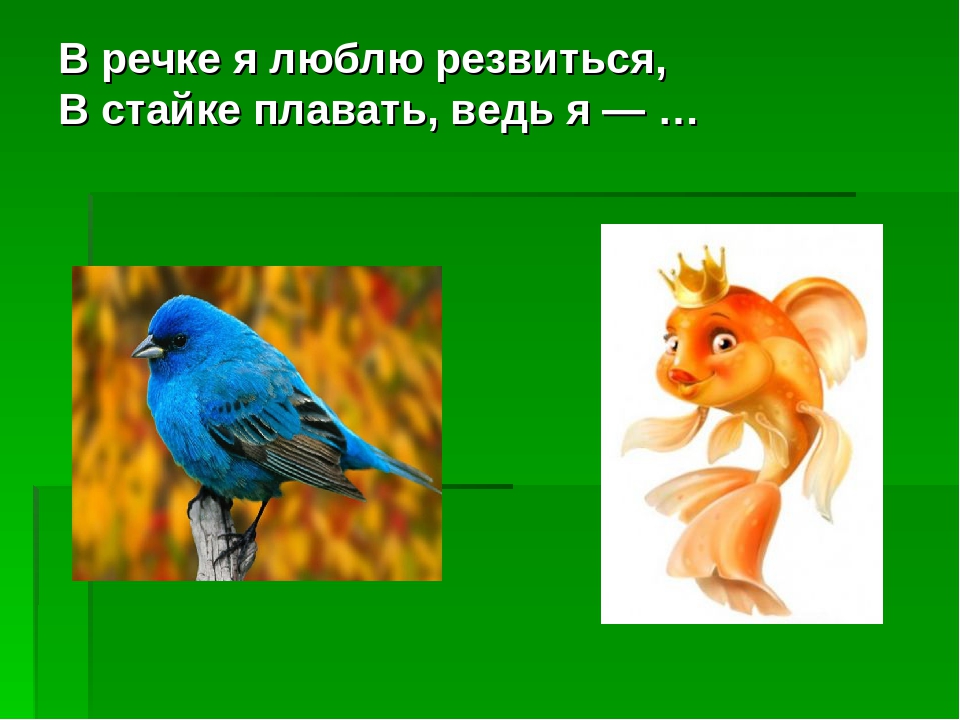 Загадки - обманки. Развлечение для детей дошкольного возраста.