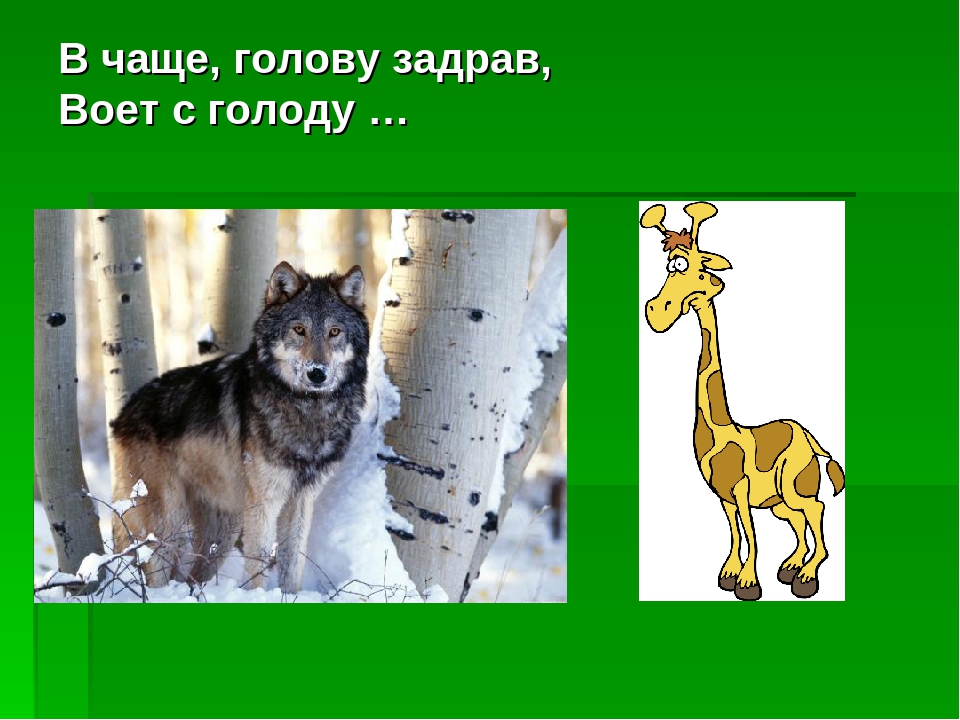 Загадки - обманки. Развлечение для детей дошкольного возраста.