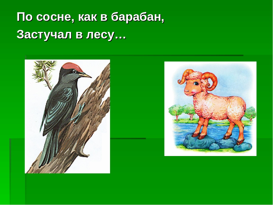 Загадки - обманки. Развлечение для детей дошкольного возраста.