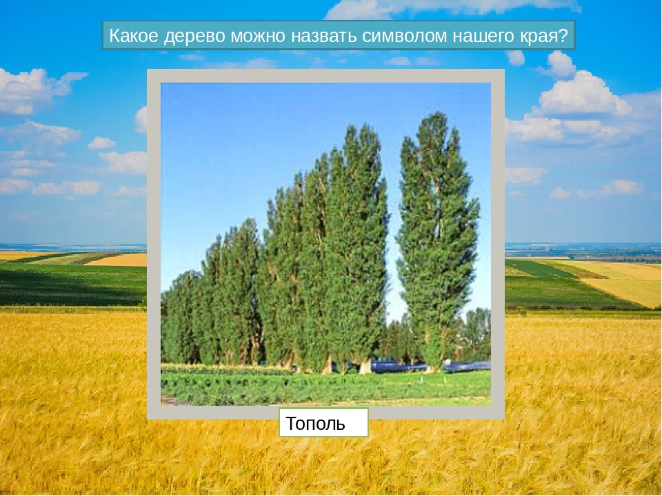 Краеведческая игра - викторина к 80 летию образования Краснодарского края (для детей с ОВР)