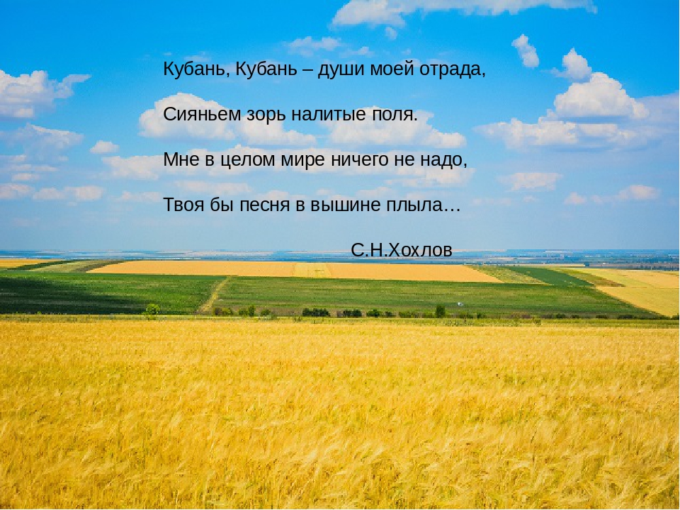 Автор стихотворения поле. Стихотворение про Кубань. Стих про Краснодарский край. Стихи о Кубани для детей. Стихотворение про Куба.