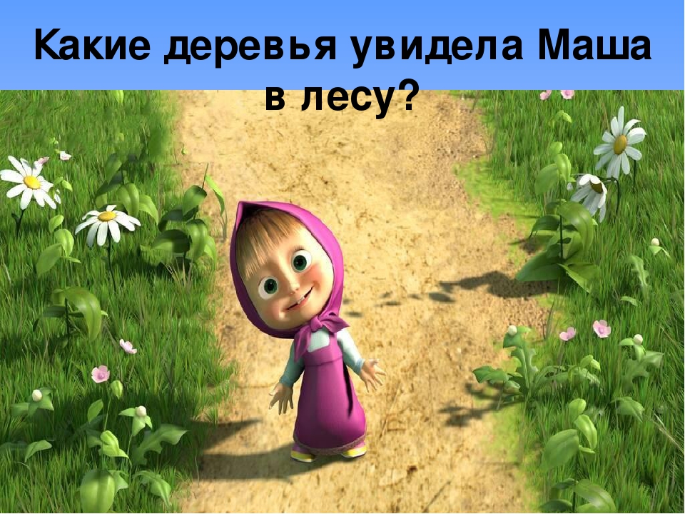 Презентация " Прогулка в осеннем лесу"