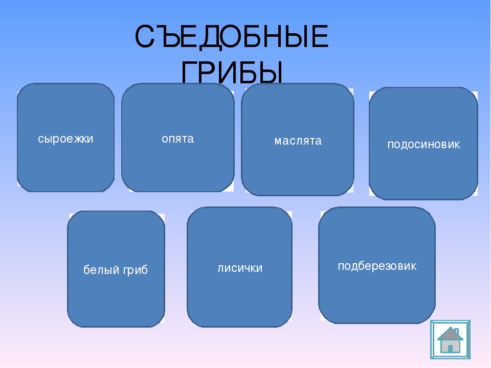 Презентация " Прогулка в осеннем лесу"