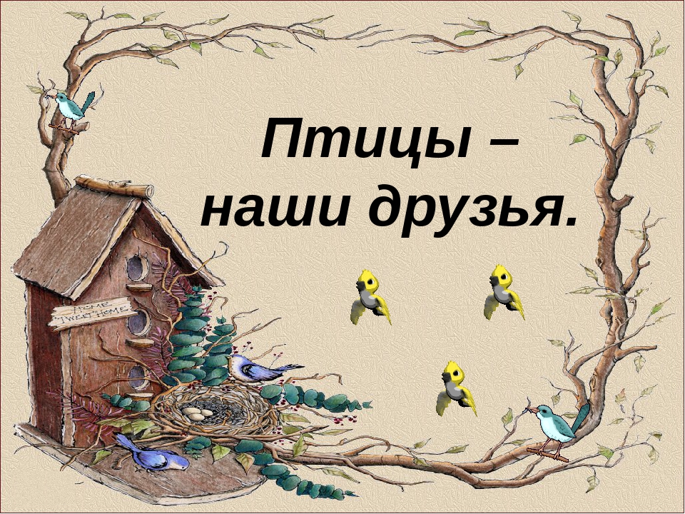 Презентация на тему "Птицы - наши друзья"