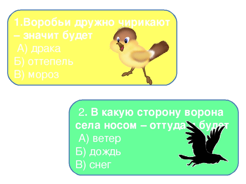 Презентация на тему "Птицы - наши друзья"