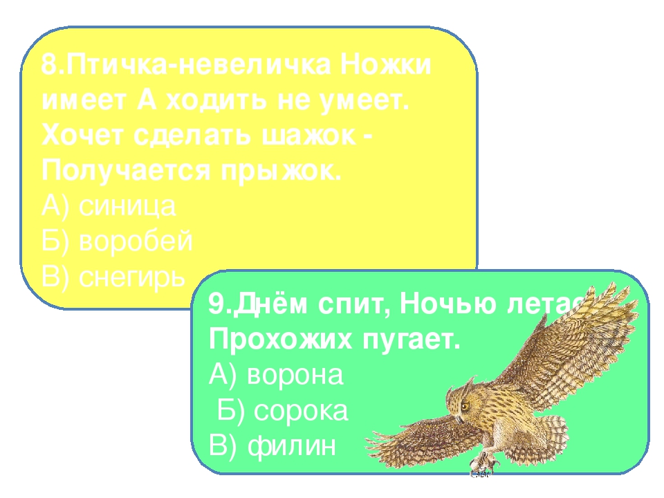 Презентация на тему "Птицы - наши друзья"