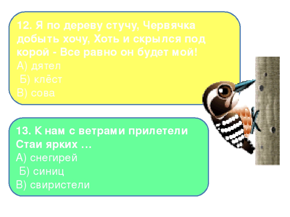 Презентация на тему "Птицы - наши друзья"