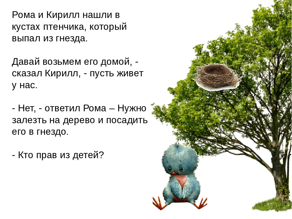 Презентация на тему "Птицы - наши друзья"