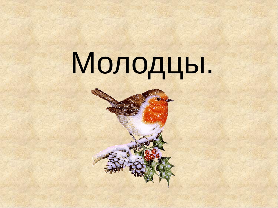 Презентация на тему "Птицы - наши друзья"