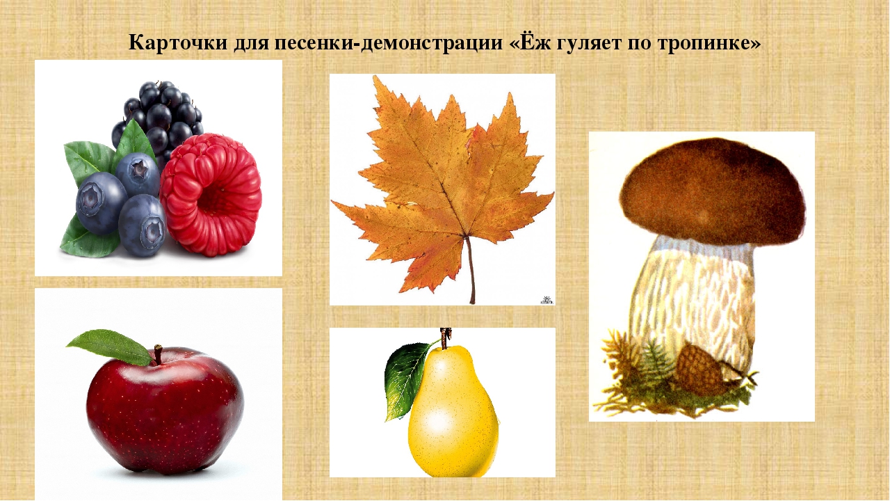 Презентация к музыкальному занятию "В лес осенний мы пришли..."
