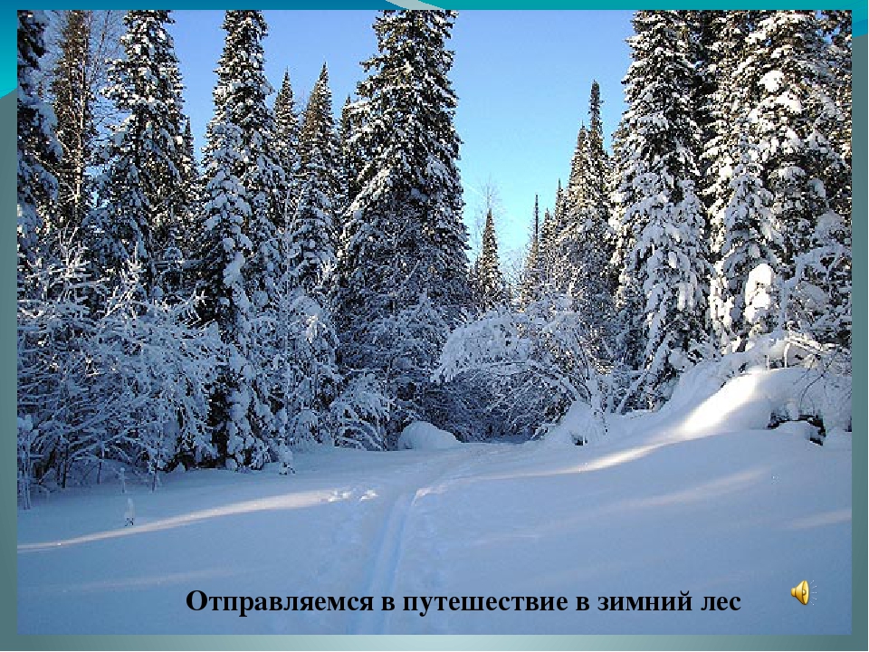 Мультимедийная игра "Звери зимой" (средняя группа)
