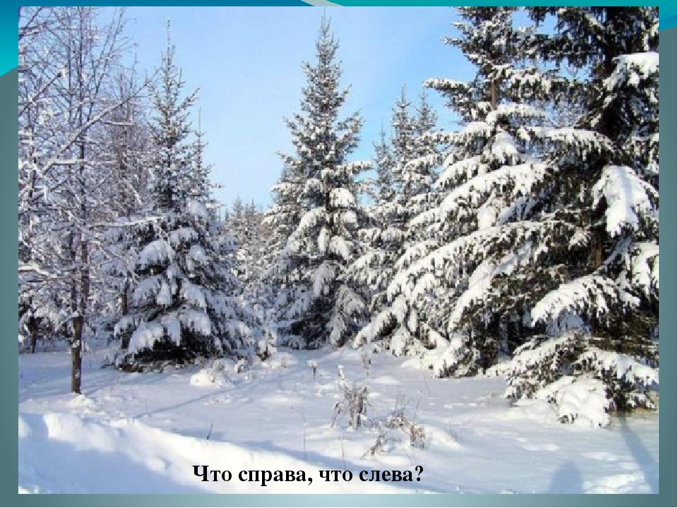 Мультимедийная игра "Звери зимой" (средняя группа)