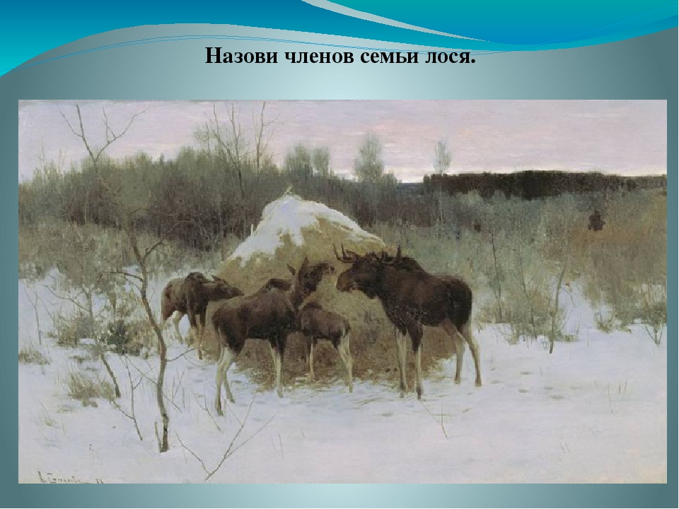 Мультимедийная игра "Звери зимой" (средняя группа)