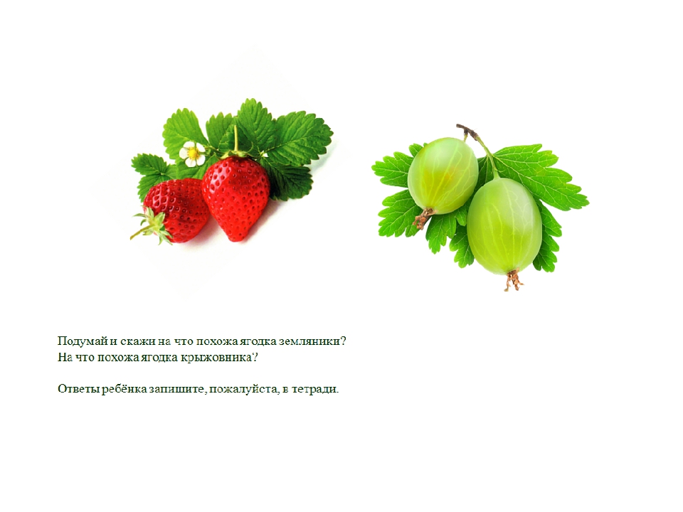 Презентация по теме "Ягоды"