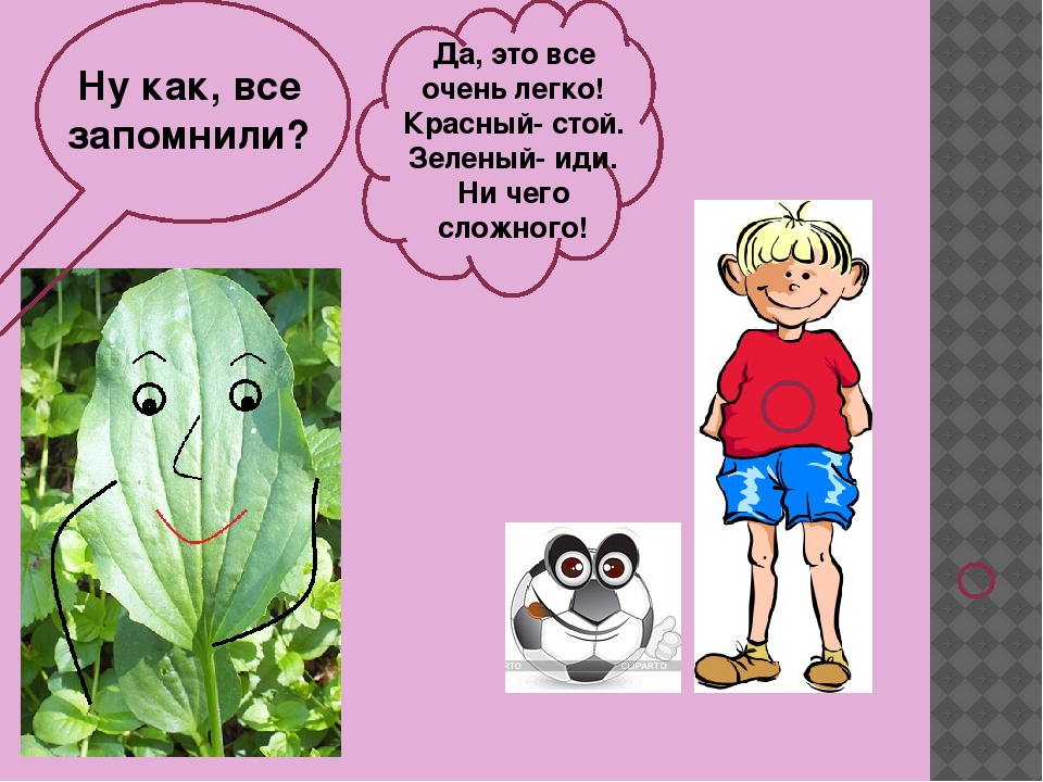 "Падорожник- давай дружить" обучающая презентация для дошкольников