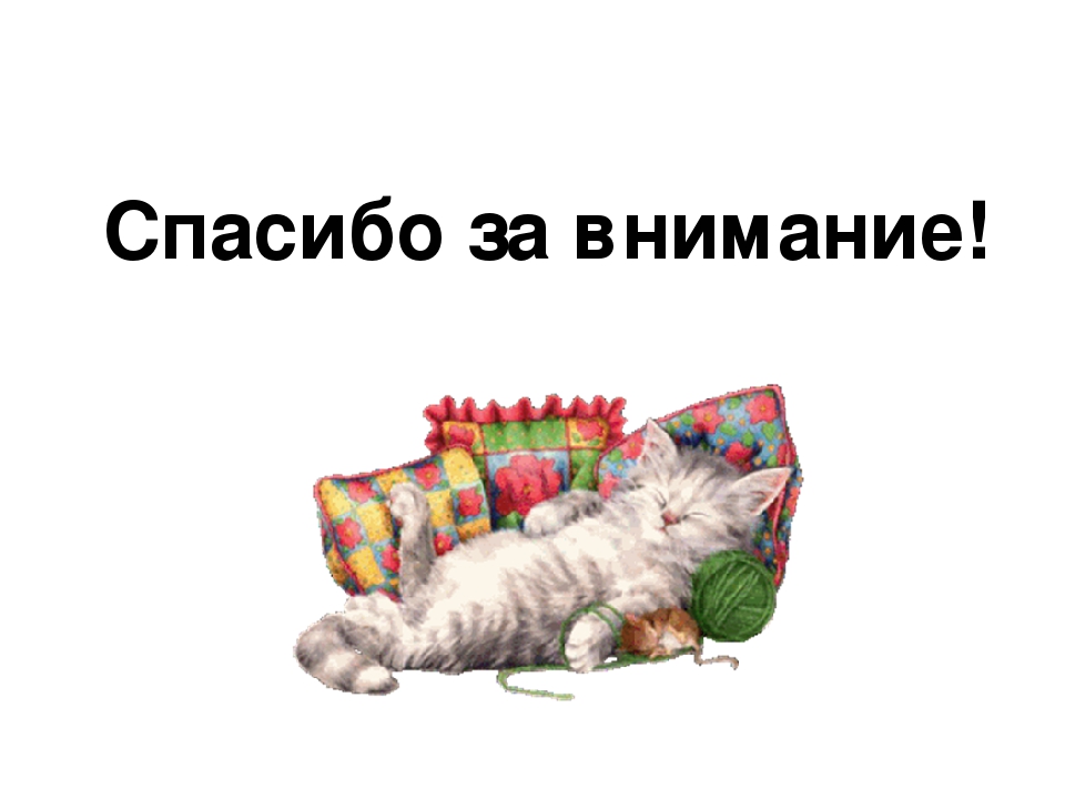 Проект: «Как ухаживать за кошками»
