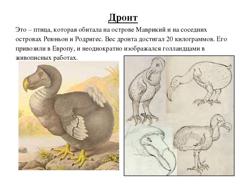 Проект на тему: "Чёрная книга"