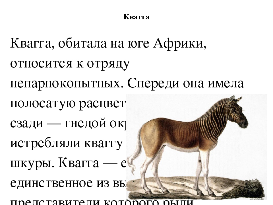 Проект на тему: "Чёрная книга"