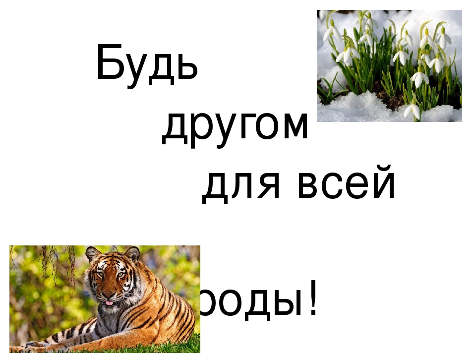 Проект на тему: "Чёрная книга"