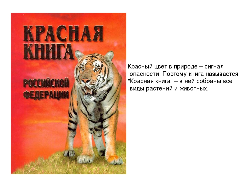 Проект на тему: "Красная Книга"