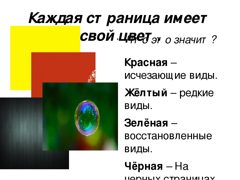 Проект на тему: "Красная Книга"
