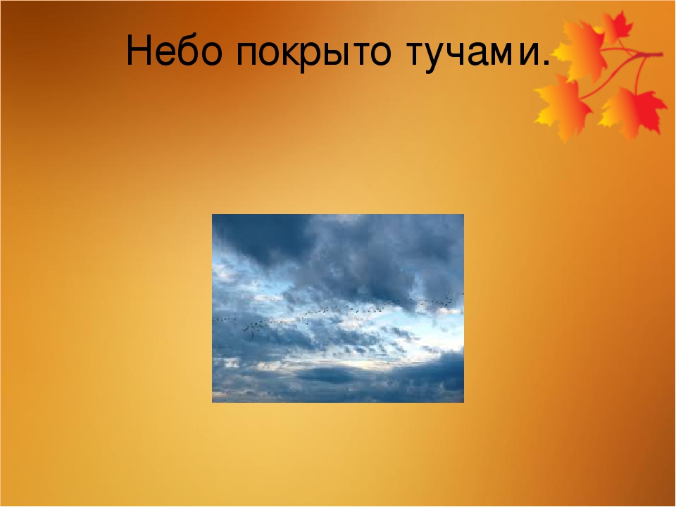 Презентация "Осень" для детей 5-6 лет