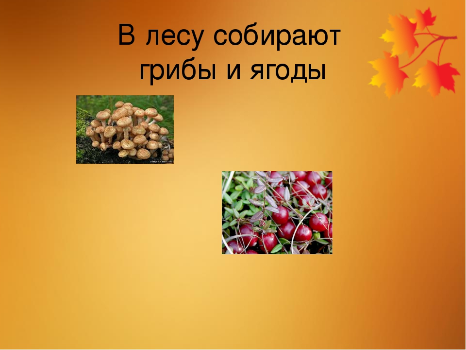 Презентация "Осень" для детей 5-6 лет