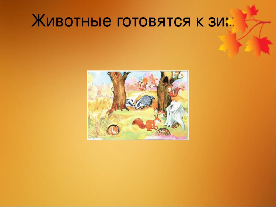 Презентация "Осень" для детей 5-6 лет