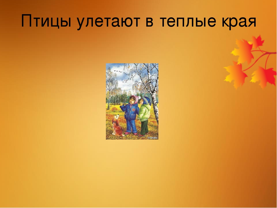 Презентация "Осень" для детей 5-6 лет
