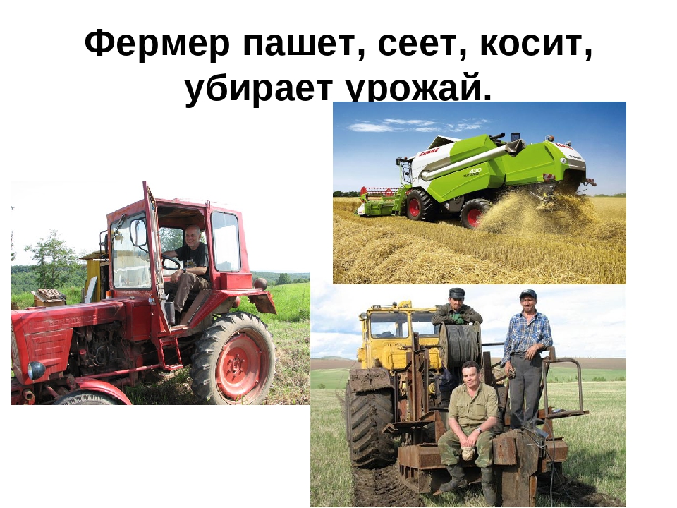 Презентация: «О труде фермера»