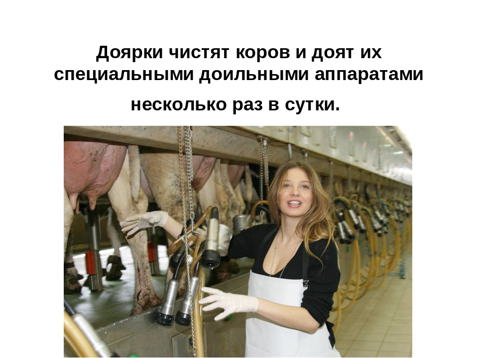 Презентация: «О труде фермера»