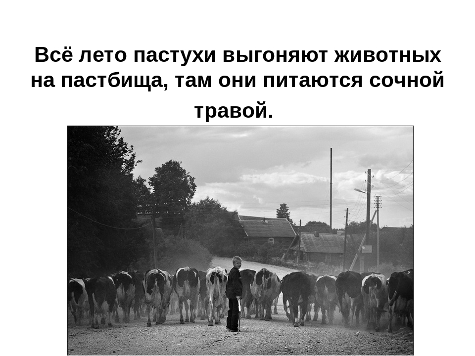 Презентация: «О труде фермера»