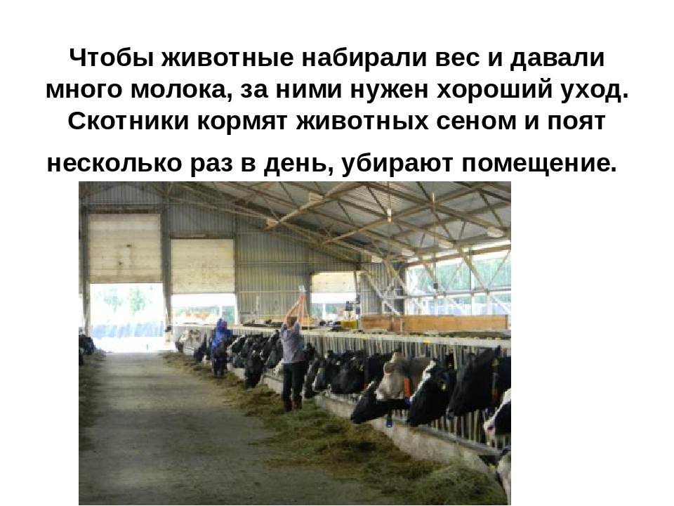 Презентация: «О труде фермера»