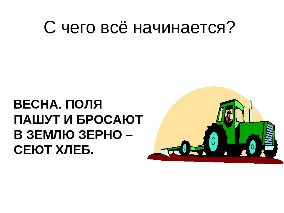 Презентация на тему: "Хлеб-всему голова"