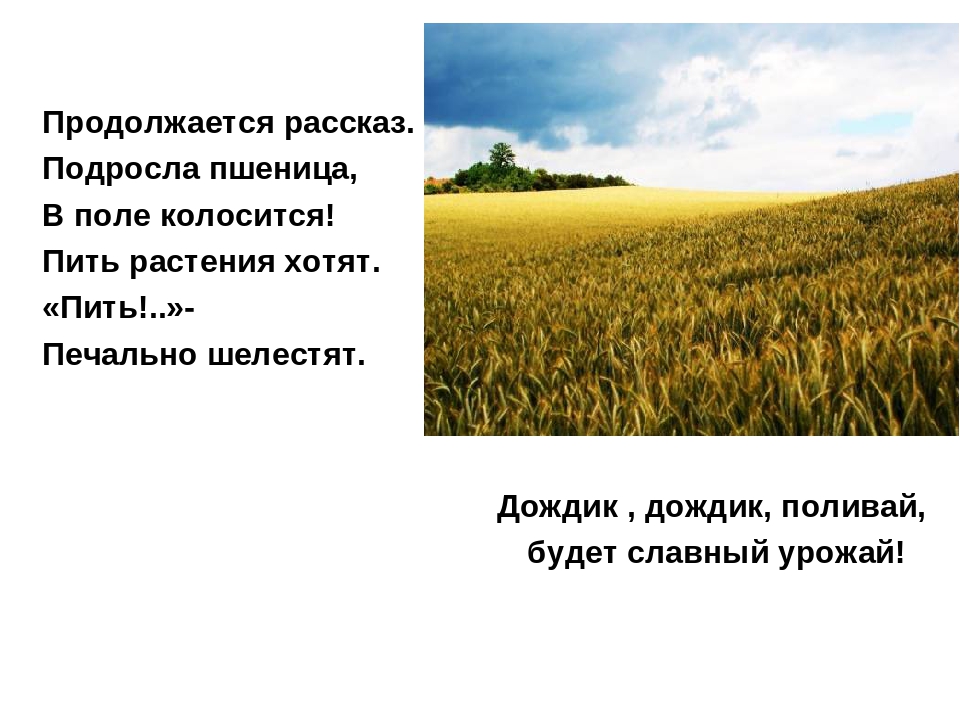 Презентация на тему: "Хлеб-всему голова"