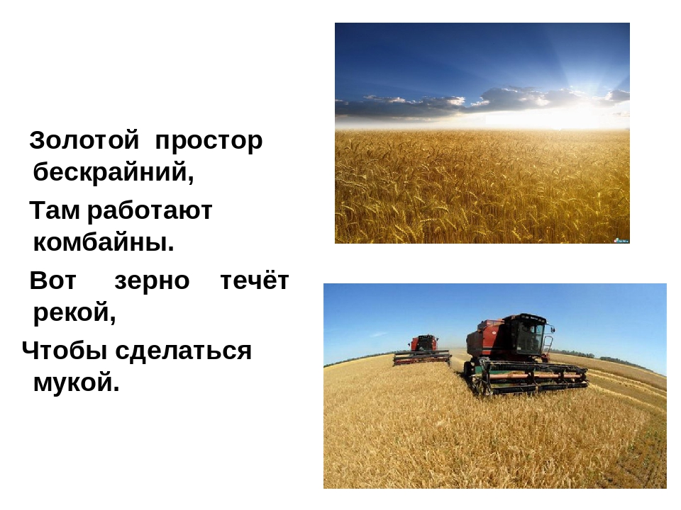 Презентация на тему: "Хлеб-всему голова"