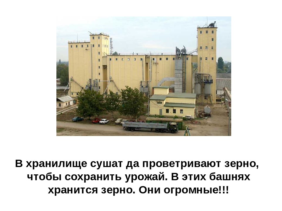Презентация на тему: "Хлеб-всему голова"