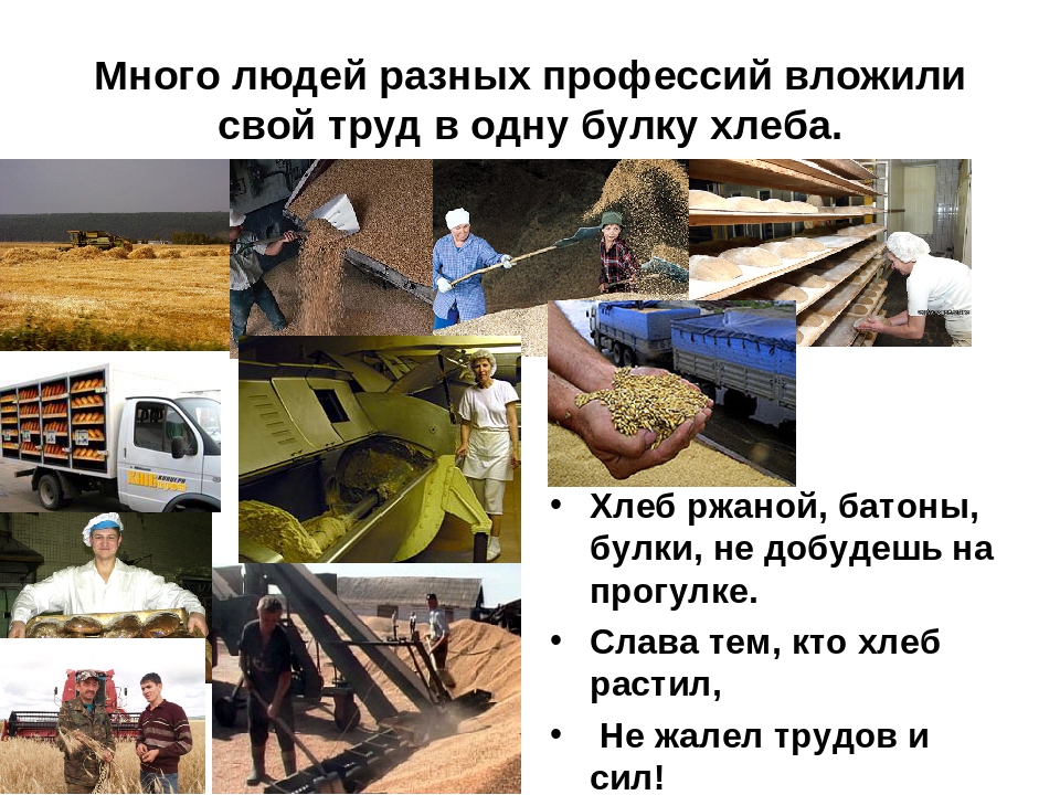 Презентация на тему: "Хлеб-всему голова"
