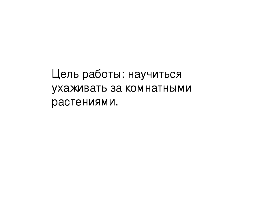 Презентация на тему: «Как правильно ухаживать за комнатными растениями»