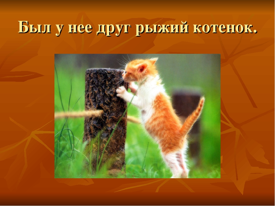 Презентация на тему: " Сказка про осень"