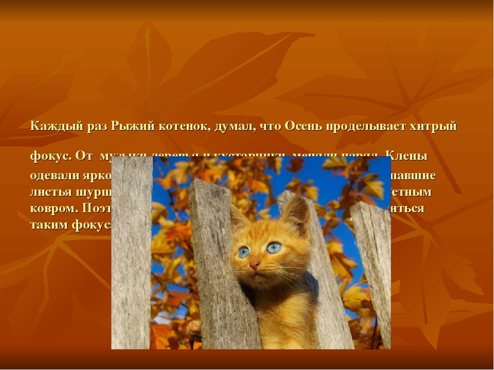 Презентация на тему: " Сказка про осень"